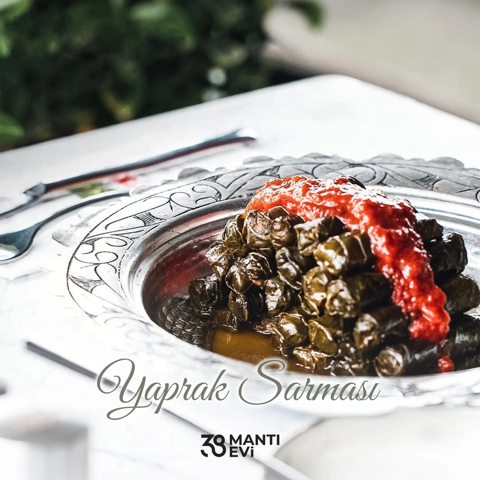 Yaprak Sarması